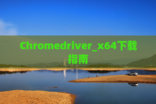 Chromedriver_x64下载指南