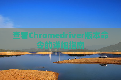 查看Chromedriver版本命令的详细指南